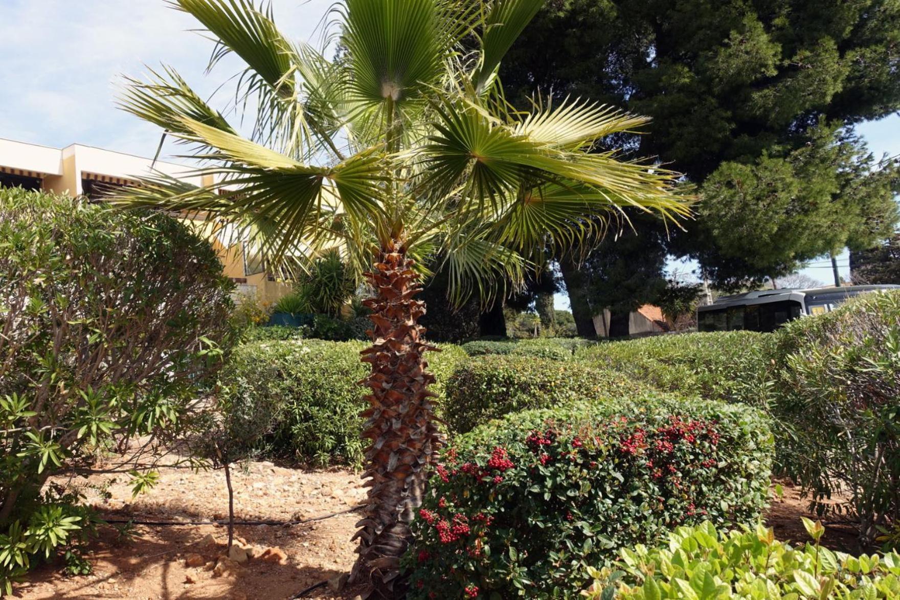 Les Jardins De Bandol, Piscine Privee, Belle Vue Mer Екстериор снимка