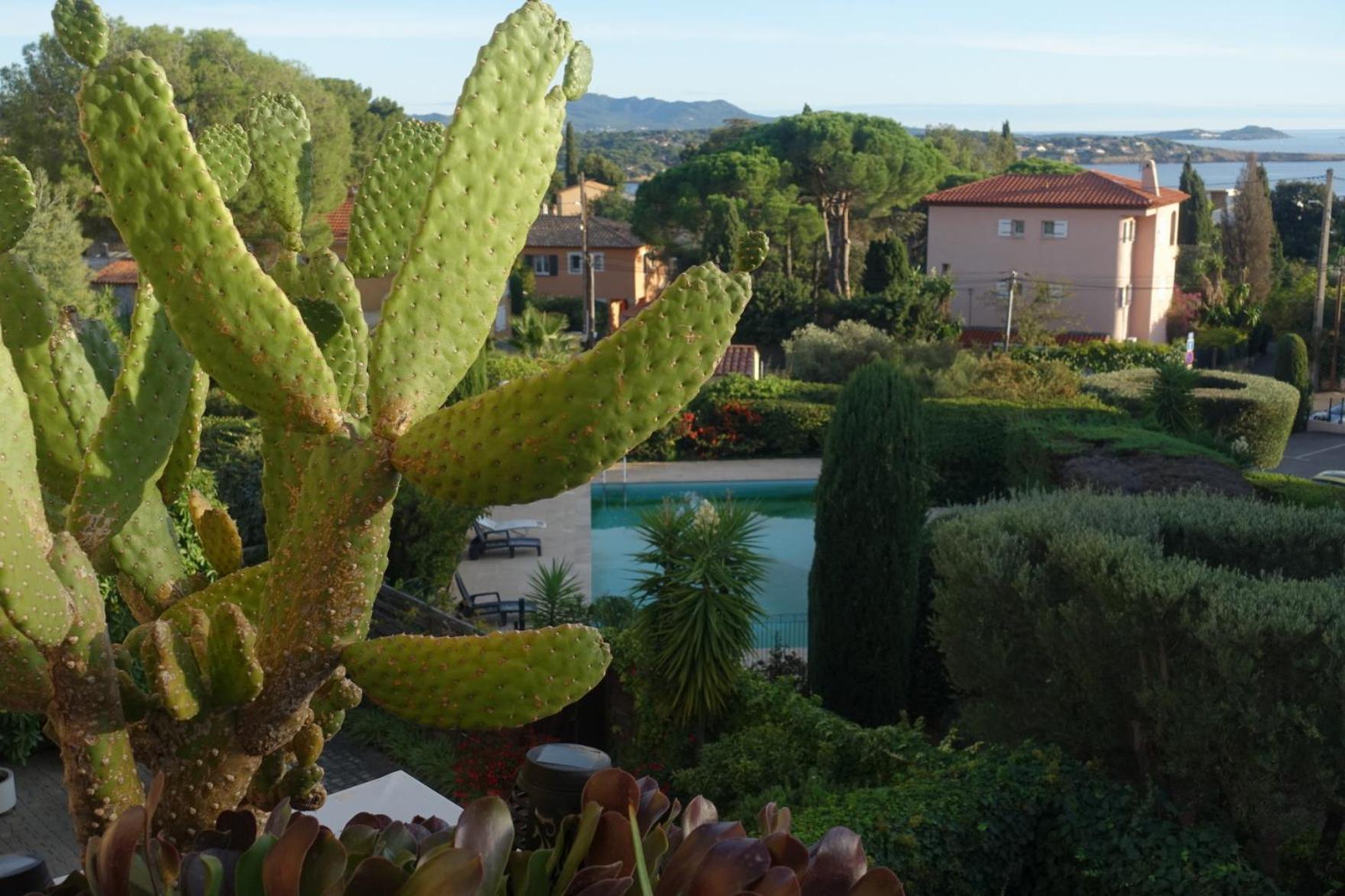 Les Jardins De Bandol, Piscine Privee, Belle Vue Mer Екстериор снимка